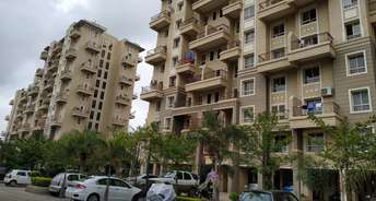 1 BHK Apartment For Resale in Nyati Eternity Mohammadwadi Pune 6694973