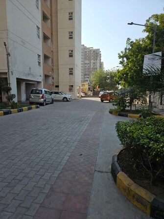 3 BHK Apartment For Resale in Klj Platinum Plus Sector 77 Faridabad  6695063