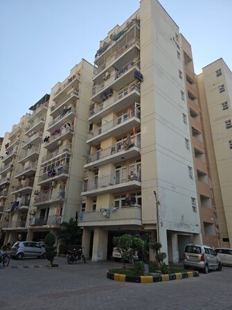 3 BHK Apartment For Resale in Klj Platinum Plus Sector 77 Faridabad  6695063