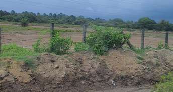 Commercial Land 50 Acre For Resale In Palghar Mumbai 6695200