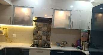 4 BHK Apartment For Rent in ATS Pristine Sector 150 Noida 6695450