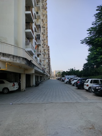 4 BHK Apartment For Resale in Supercity Mayfair Residency Phase II Noida Ext Tech Zone 4 Greater Noida  6695579