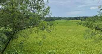Commercial Land 4000 Sq.Yd. For Resale In Ghatlodia Ahmedabad 6695584