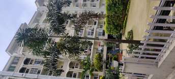 3 BHK Apartment For Rent in Gms Road Dehradun 6696083
