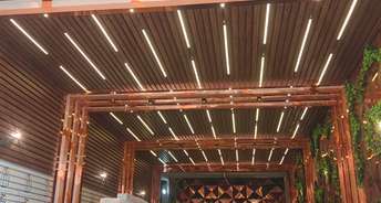 2.5 BHK Builder Floor For Resale in Sharafabad Noida 6696163