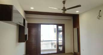 2 BHK Builder Floor For Rent in Sector 63 Mohali 6696284