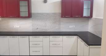 2 BHK Builder Floor For Rent in Sector 78 Mohali 6696300