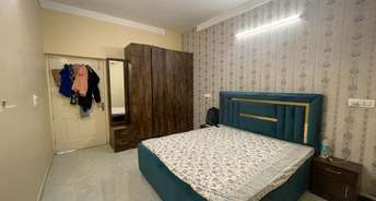 1 BHK Apartment For Rent in Kharar Road Mohali 6696344
