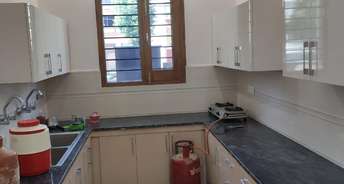 3 BHK Builder Floor For Rent in Phase 11 Mohali 6696352