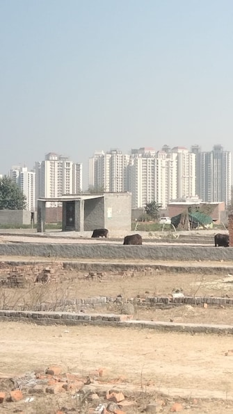 Plot For Resale in S S Shri Balaji Enclave Noida Ext Sector 1 Greater Noida  6696443