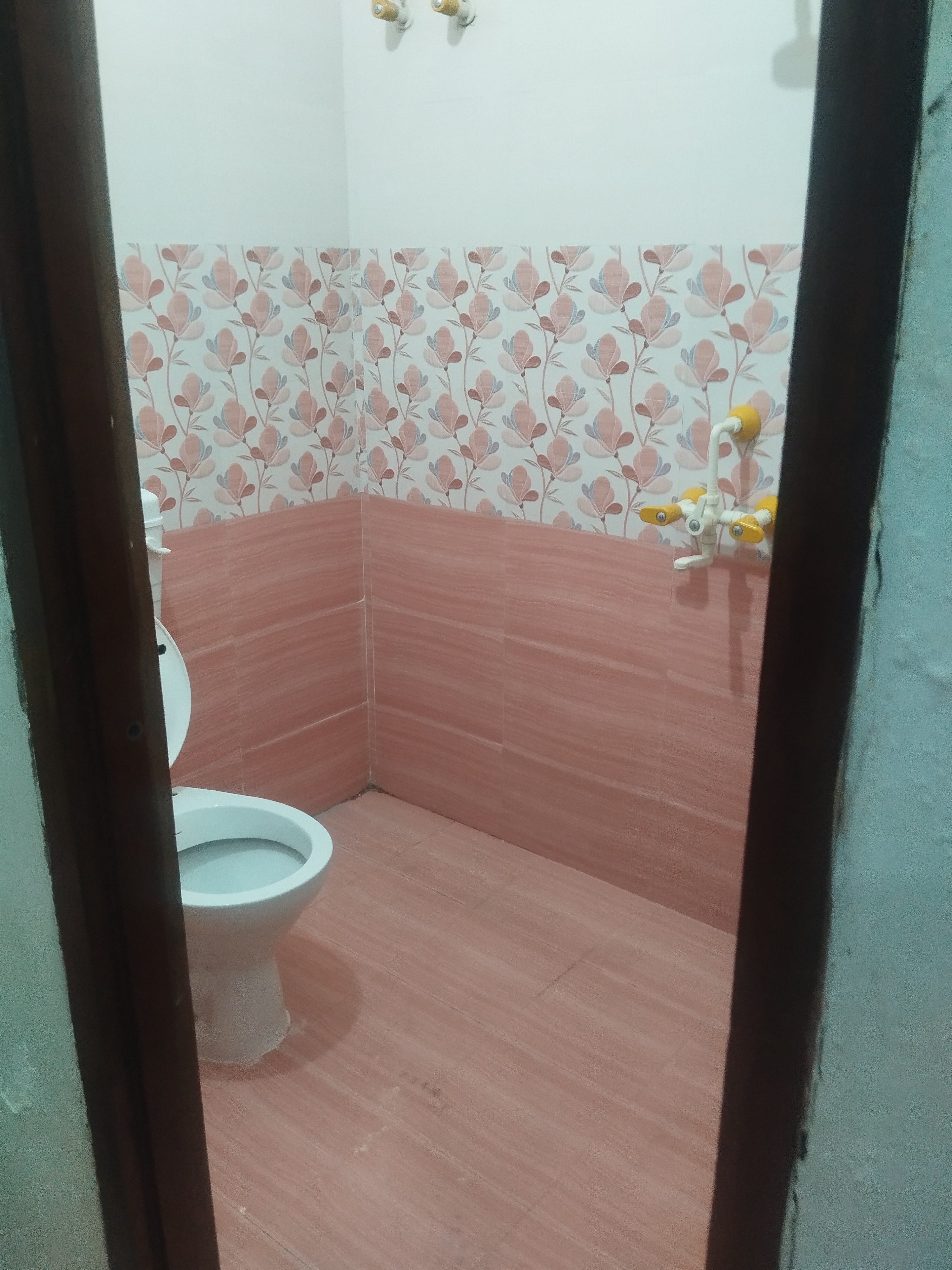 Rental 1 RK 350 Sq.Ft. Independent House in Chinhat Lucknow 6696662