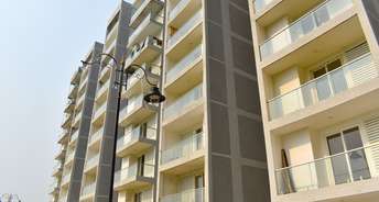 3 BHK Apartment For Resale in Proview Shalimar City Phase II Shalimar Garden Ghaziabad 6696930