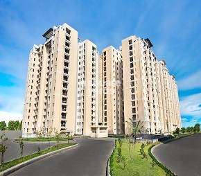 2 BHK Apartment For Rent in Jaypee Wish Town Klassic Sector 134 Noida 6697033