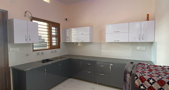 2 BHK Builder Floor For Rent in Sector 124 Mohali 6697440