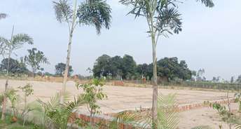 Plot For Resale in Signature Dreams Sultanpur Road Lucknow 6698053