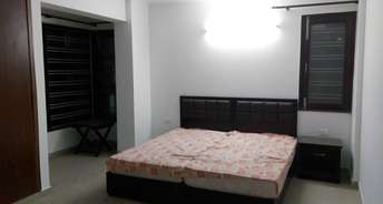 3 BHK Apartment For Resale in DDA Flats Vasant Kunj Vasant Kunj Delhi 6698073