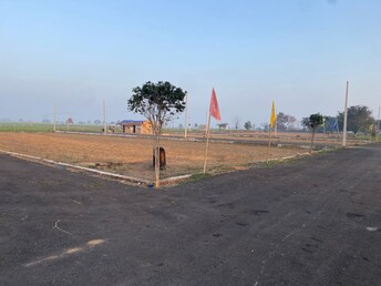 Plot For Resale in Jewar Greater Noida  6698342