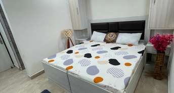 1 RK Builder Floor For Rent in Rail Vihar Apartment Sector 15 Gurgaon 6698434