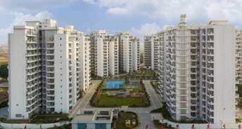 3.5 BHK Penthouse For Resale in Anant Raj Maceo Sector 91 Gurgaon 6698815