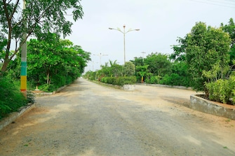 Plot For Resale in Jsr Golden Temple Yadagirigutta Hyderabad  6698998