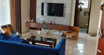3 BHK Apartment For Rent in Indiranagar Bangalore 6699095
