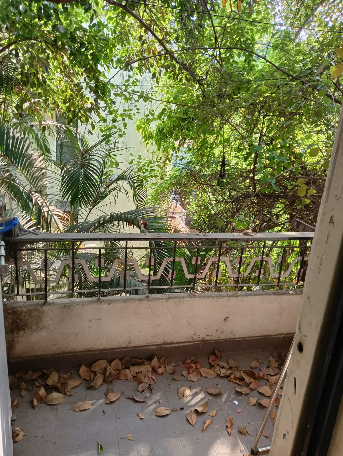 1 BHK Flats for Rent in Deccan Gymkhana, Pune 1 BHK Flats / Apartments