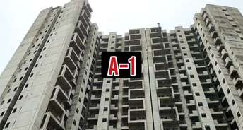 1.5 BHK Apartment For Resale in Amrapali Dream Valley Noida Ext Tech Zone 4 Greater Noida 6699133