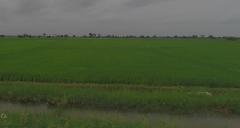 Commercial Land 5 Acre For Resale In Telaprolu Vijayawada 6699500