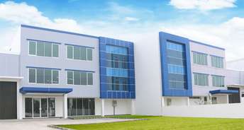 Commercial Warehouse 15000 Sq.Ft. For Rent In Mathura Road Faridabad 6699692