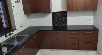 2.5 BHK Builder Floor For Rent in Sector 12 Sonipat 6700323
