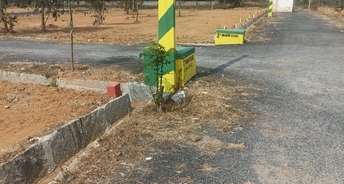  Plot For Resale in Bannerghatta Road Bangalore 6700674
