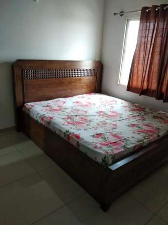 2 BHK Apartment For Rent in Sobha Dream Acres Panathur Bangalore 6700712