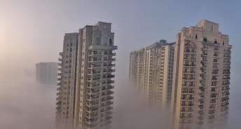 2 BHK Apartment For Resale in Ace Golfshire Sector 150 Noida 6700902