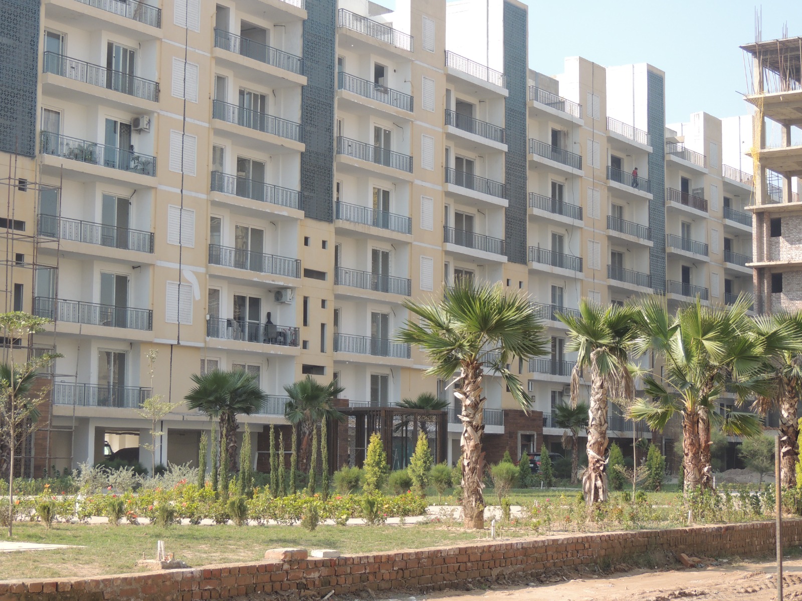 3 BHK Apartment For Resale in Dhakoli Village Zirakpur  6701110