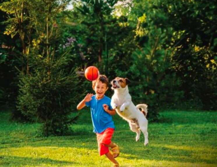 Exterior View, kalpataru-vivant 1 Bedroom 439 Sq.Ft. Apartment In Jogeshwari East Mumbai 6701318