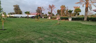 Plot For Resale in Aimnabad Greater Noida  6702103