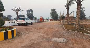  Plot For Resale in Aimnabad Greater Noida 6702103