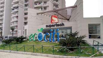 1 RK Apartment For Rent in Supertech Ecociti Sector 137 Noida  6702673