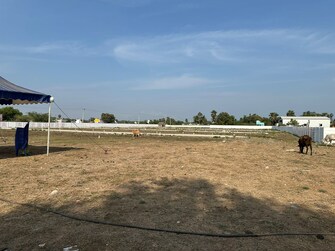 Plot For Resale in Madhavaram Chennai  6703023