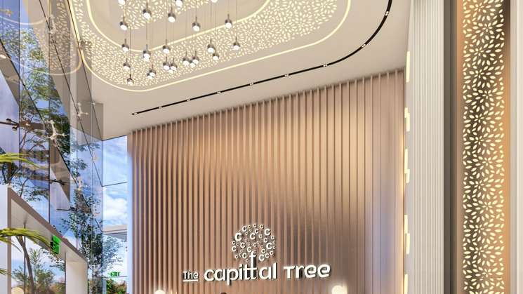 The Capital Tree