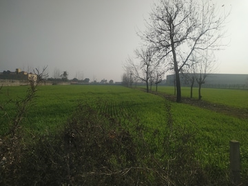 Commercial Industrial Plot 3600 Sq.Yd. For Resale in Ganaur Sonipat  6703223