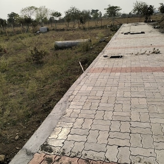 Plot For Resale in Wadoda Nagpur  6703399