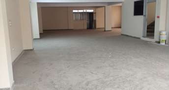 Commercial Industrial Plot 250 Sq.Mt. For Rent In Sector 37 Gurgaon 6703484