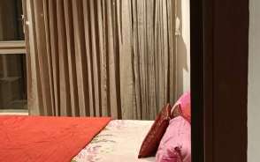 1 BHK Apartment For Resale in One Hiranandani Park Ghodbunder Road Thane 6704100