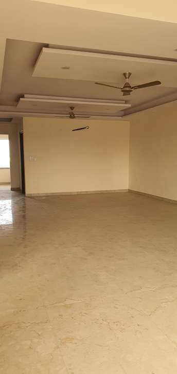 3 BHK Builder Floor For Rent in Sector 16 Faridabad  6704128