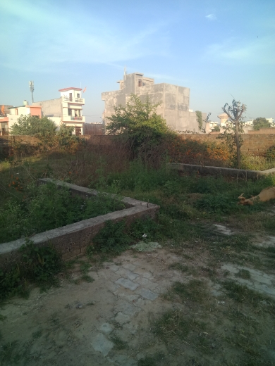 Plot For Resale in Jankipuram Lucknow  6704653