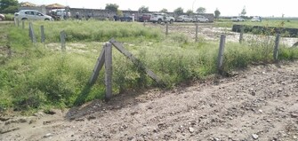 Plot For Resale in Jewar Greater Noida  6704788