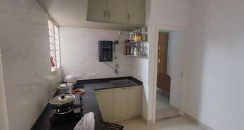 2 BHK Apartment For Rent in Basavanagudi Bangalore 6704922