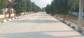 Plot For Resale in Shadnagar Hyderabad  6705098