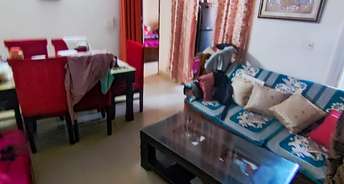 3 BHK Apartment For Resale in Amrapali Sapphire Sector 45 Noida 6705512